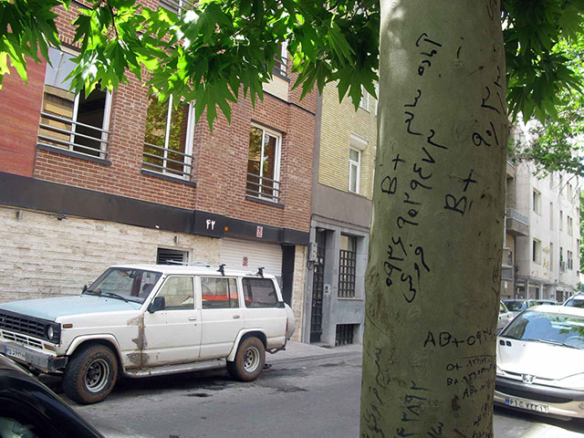 Iran Kidney: Iran Kidney011