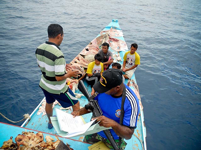 Week in Wildlife: Alleged Shark Finners  Nabbed In Raja Ampat Marine Protected Area