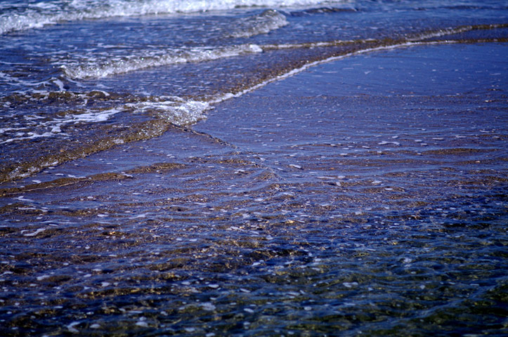 Guardian Camera Club: Teleri Williams participates in the conceptual photography assignment