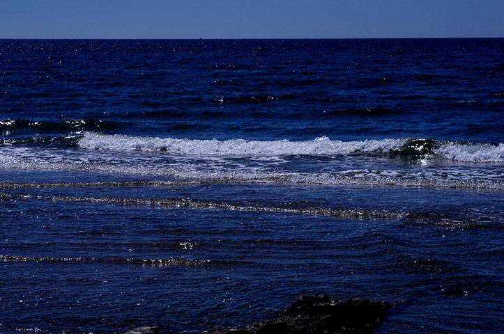 Guardian Camera Club: Teleri Williams participates in the conceptual photography assignment