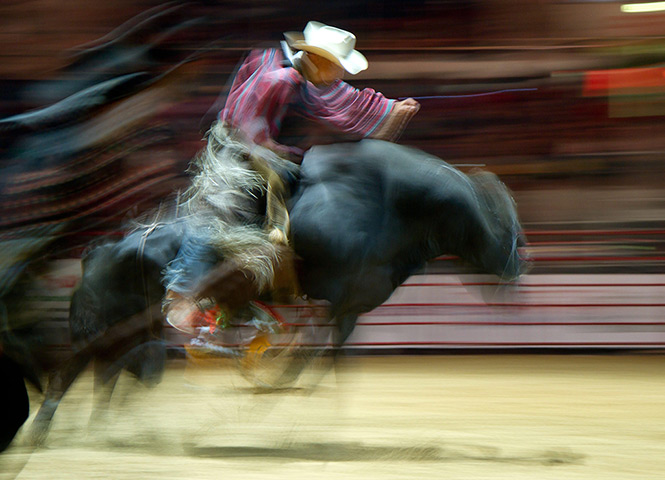 24 hours: Bratislava, Slovakia: A long exposure photo of a bull rider 