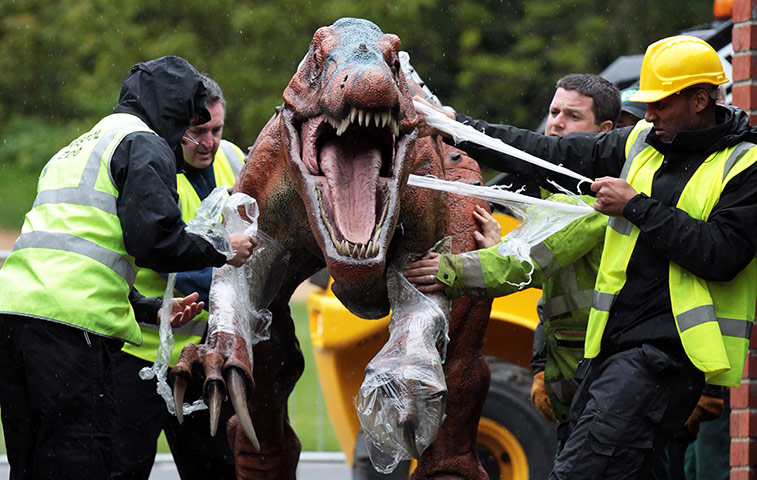 Picture desk live: Bristol Zoo welcome 12 Animatronic Dinosaurs to their grounds