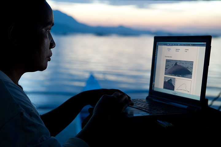 Biodiversity Monitoring: checking her Irrawwady dolphin photo ID 