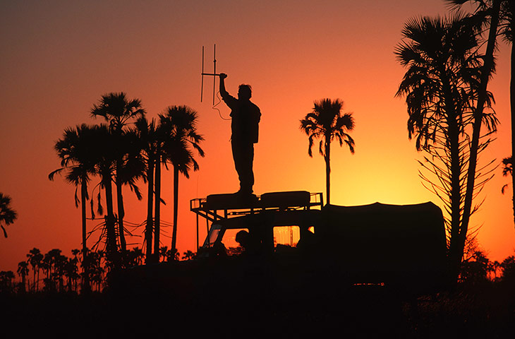 Biodiversity Monitoring: Conservation Research student radio tracking Hyaena Botswana