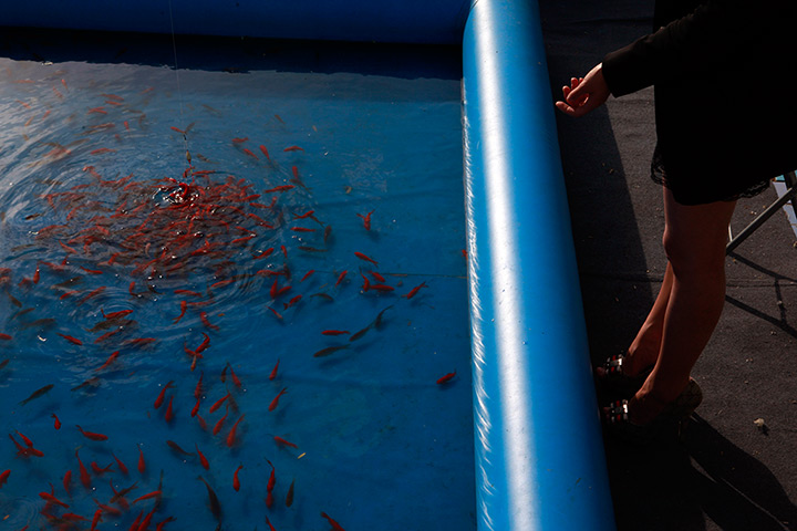 24 hours: Beijing, China: A Chinese woman uses a baited hook to fish for goldfish