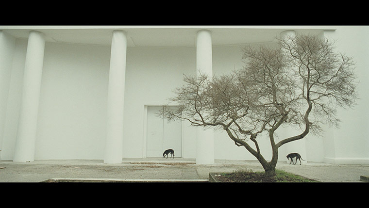 British pavillion: A still from Steve McQueen's Giardini