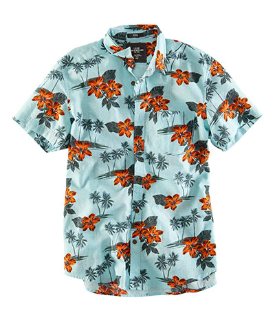 Men's prints gallery: Hawaiian shirt