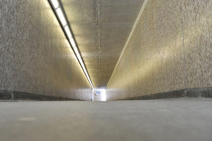 Guardian Camera Club: Andrew Smith participates in the conceptual photography assignment