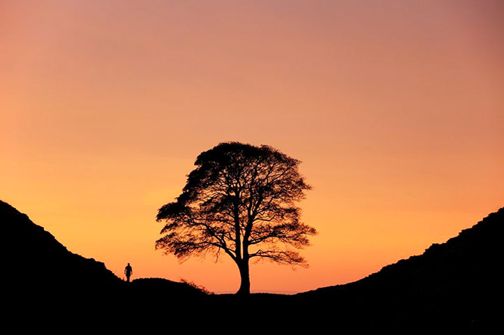 National Parks : landscape photo competition