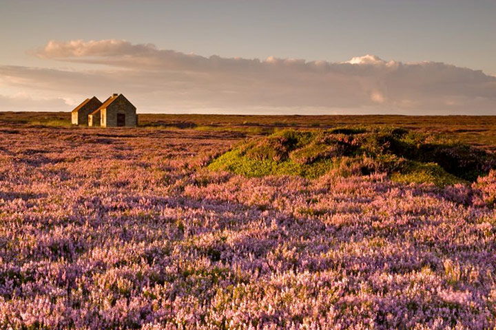 National Parks : landscape photo competition