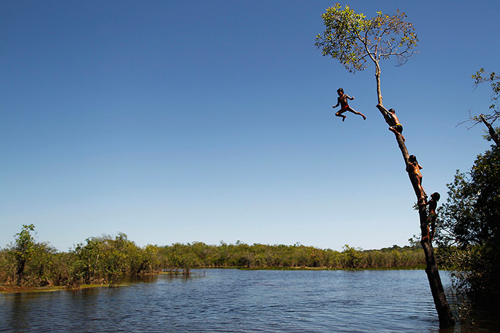 FTA: Ueslei Marcelino: Yawalapiti children climb a tree to jump into the Xingu River 
