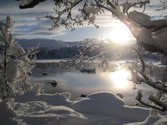 Your Pictures: Your Pictures: The bright sunlight reflecting on the frozen Loch Morlich