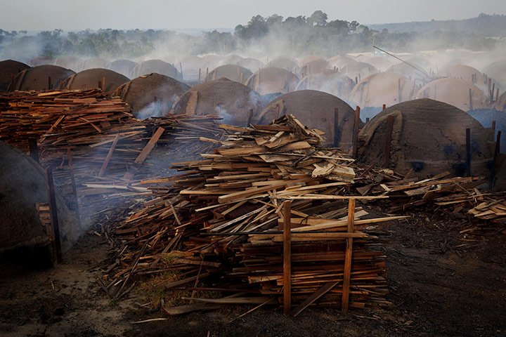 Pig iron in Brazil: Illegal charcoal kilns in the municipality of Tucuruí
