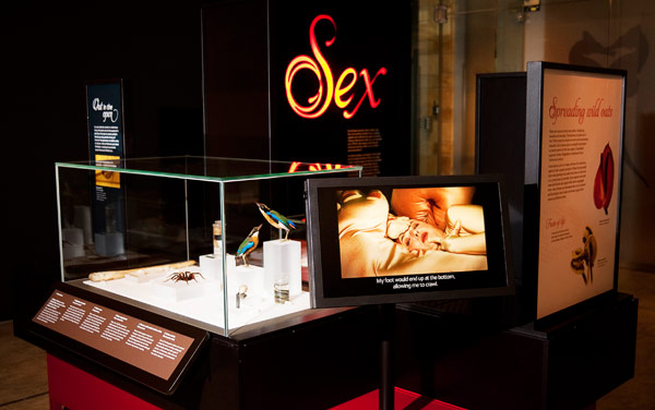 M and H Awards 2012: Museums and heritage #8