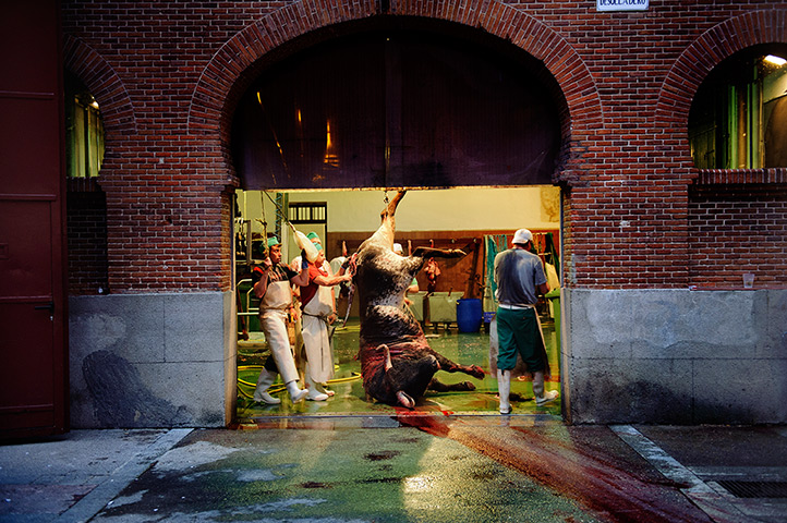 24 hours in pictures: Butchers use a crane to lift the carcass of a bull 