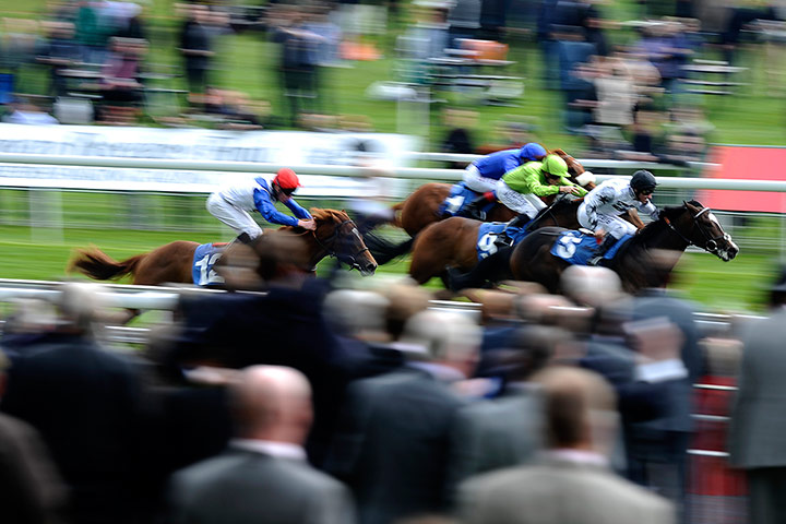 sport: York Races
