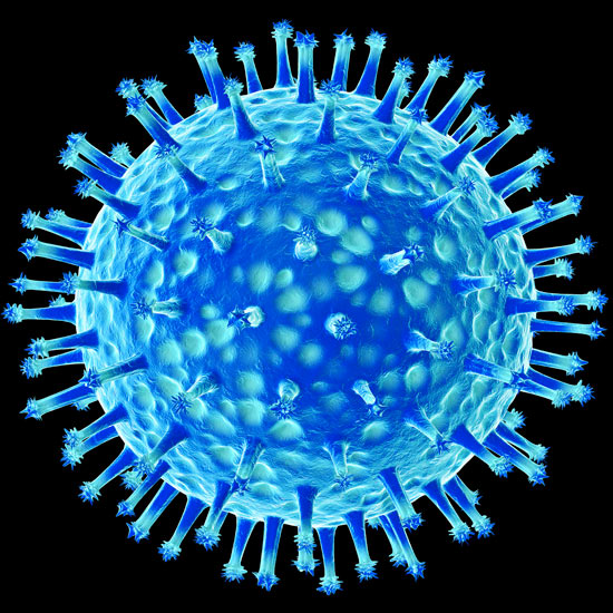 Swine Flu Virus