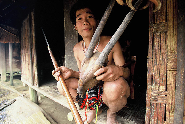 Saola: Katu hunter and saola horns, Laos