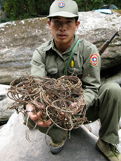 Saola: Patrol team with wire snares collected in saola habitat, central Laos 