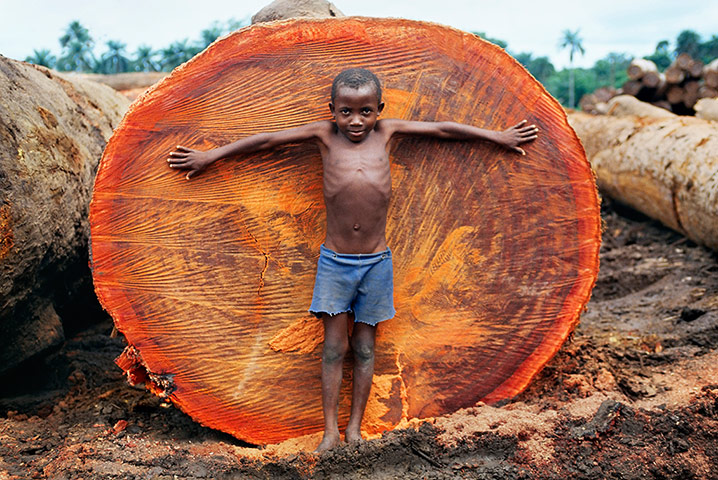 Hard Rain Project: Whole Earth? exhibition