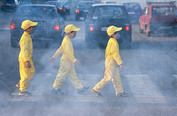 Hard Rain Project: Whole Earth? exhibition