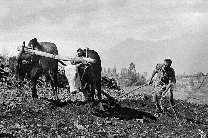 Hard Rain Project: Whole Earth? exhibition