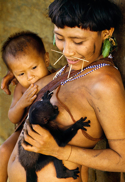 Hard Rain Project: Whole Earth? exhibition