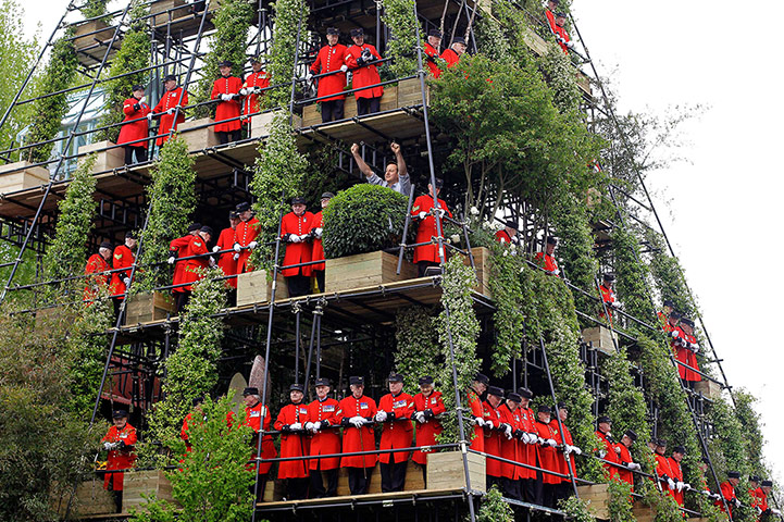 David Cameron celebrates: David Cameron cheers on the pensioners at the Chelsea Flower Show