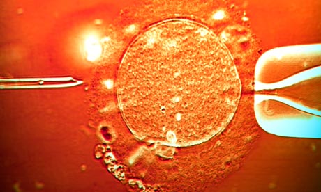 IVF treatment sperm being injected into an egg