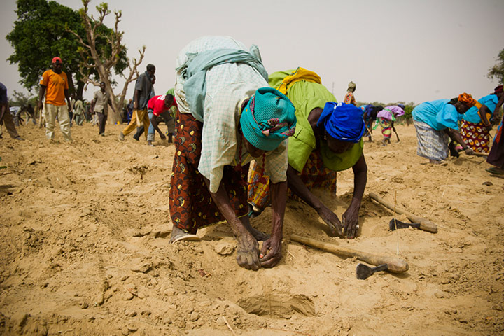 Sahel Crisis: WFP in Niger