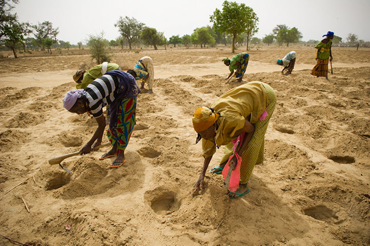 Sahel Crisis: WFP in Niger