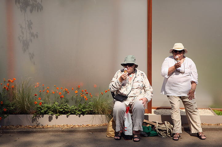 UK weather: Visitors at Chelsea Flower Show eat ice creams in the sunshine
