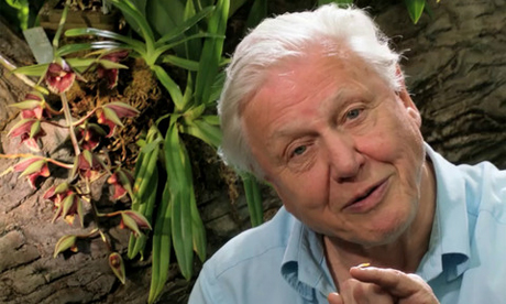 Kingdom of Plants with David Attenborough