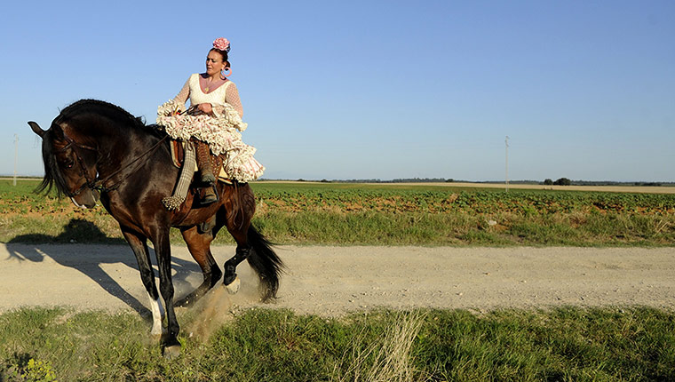 Picture desk live: A pilgrim makes her way to the shrine of El Rocio in Sevilla