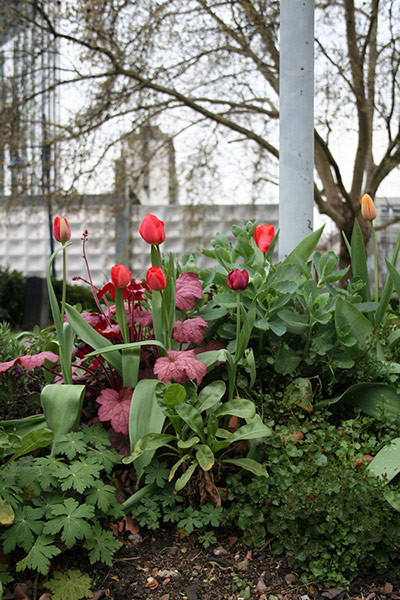 Chelsea Fringe: A guerrilla garden at Elephant and Castle in London