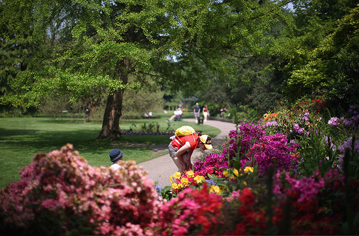 UK heatwave: People walk through Greenwich Park flower gardens 