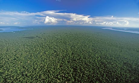 An aerial view of the Amazon rainforest near Nova Olinda, Brazil