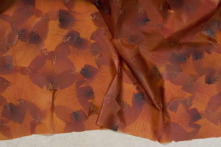 Exhibitionist 2605: Doris Salcedo