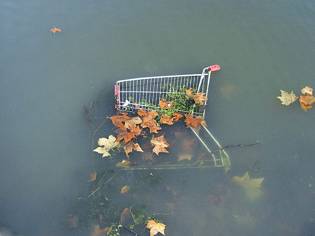 Snapshot: Johanna Neurath