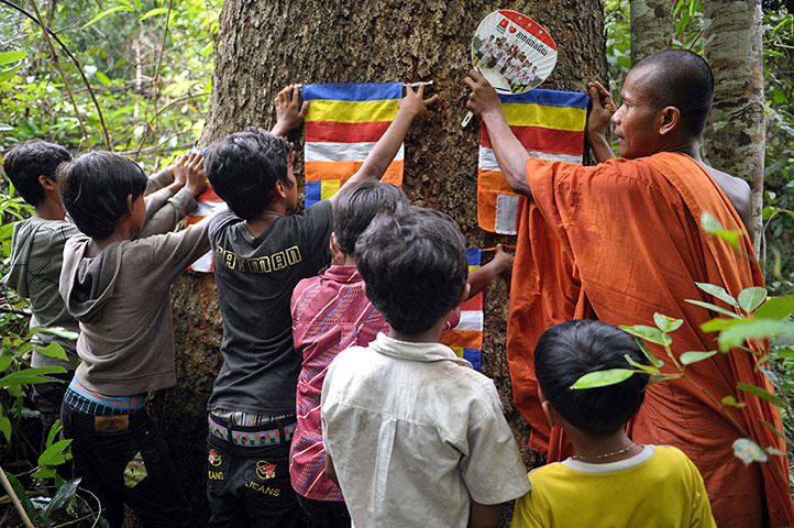 Week in wildlife: Cambodian Buddhist monk who lives in Aoral wildlife sanctuary
