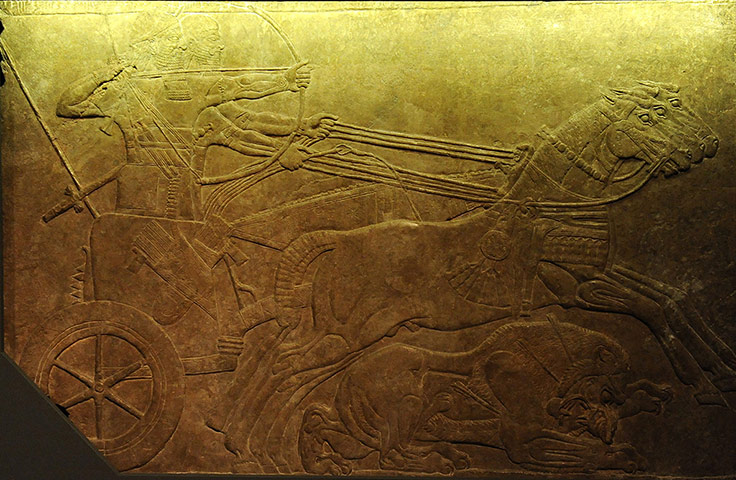 Horse: Assyrian wall relief showing a lion hunt