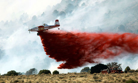 Wildfires rage in New Mexico and southwestern United States
