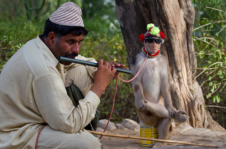 24 hours: Islamabad, Pakistan: A man plays the flute next to his monkey