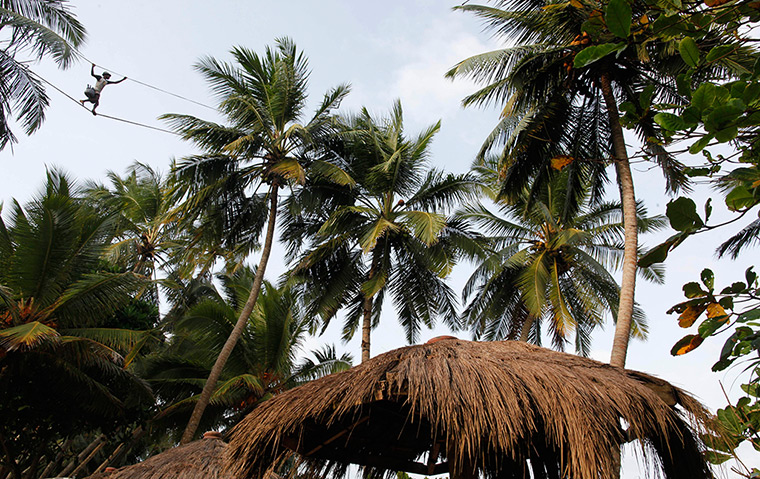 24 hours: Induruwa, Sri Lanka: A toddy tapper walks on a rope between coconut trees