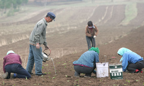 Chinese farmers