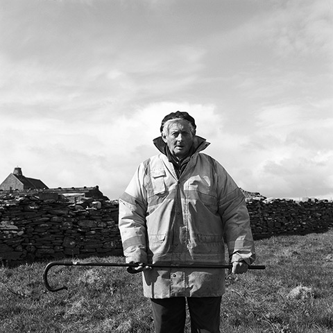 Great British Public: Bertie