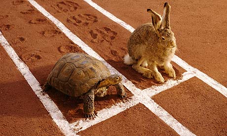 TORTOISE AND HARE ON TRACK