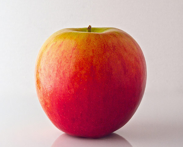 Guardian Camera Club: Puppkin participates in the conceptual photography assignment