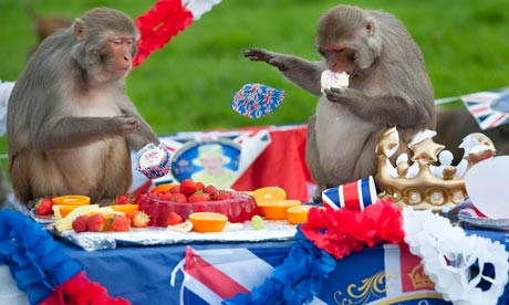 Monkeys Tea Party