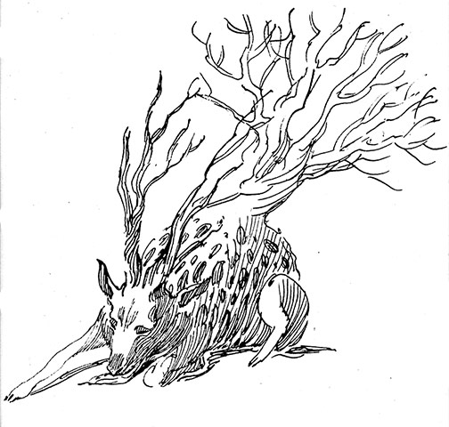 Exhibitionist0505: Galapagos